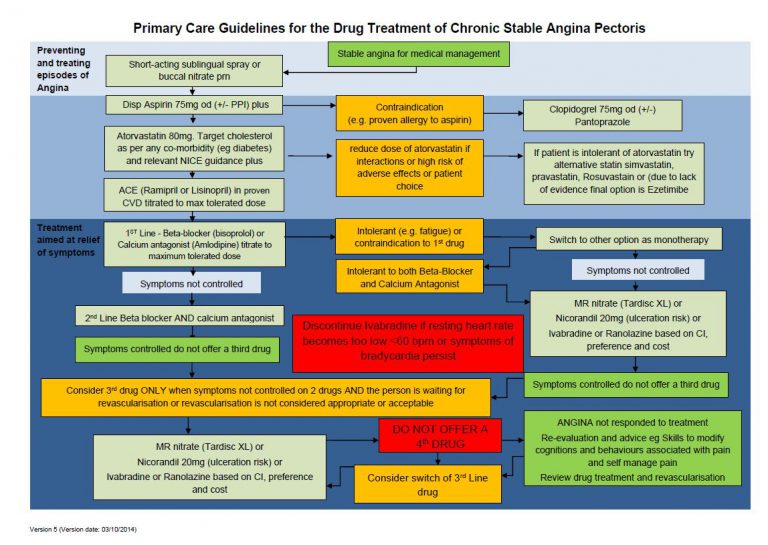 2.6 Primary Care Guidelines for the drug treatment of Chronic Stable ...